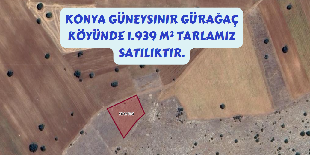 KONYA GÜNEYSINIR GÜRAĞAÇ KÖYÜ 1.939M² TARLAMIZ SATILIKTIR. - KONYA GÜNEYSINIR fotoğraf 7